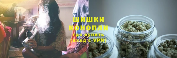 дмт Заводоуковск