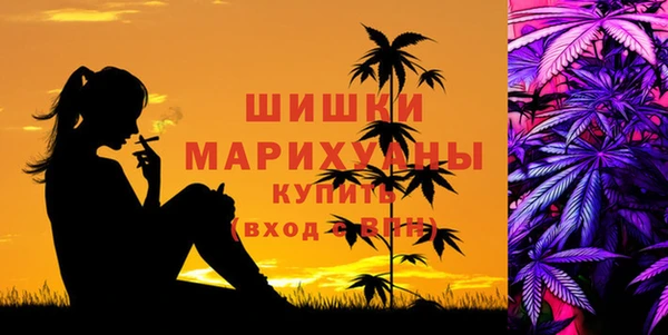 стаф Заволжье