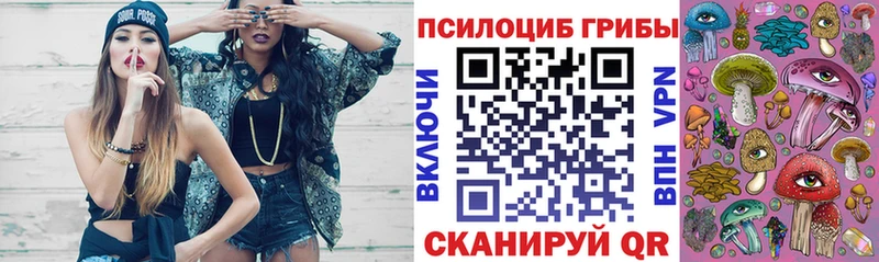 Псилоцибиновые грибы Magic Shrooms  Шумиха 